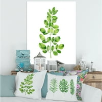 Дизайнарт 'Моринга Растение Клон Тропическа Дървесна Зеленина' Къща Платно Стена Арт Принт