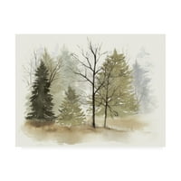 Изобразително изкуство в мъглата платно изкуство от Грейс Поп